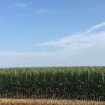 Agricultural Farmland
